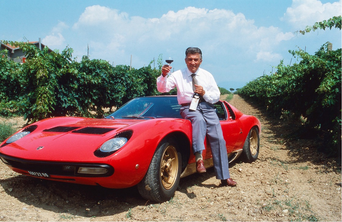 Vineyard with tractor and car